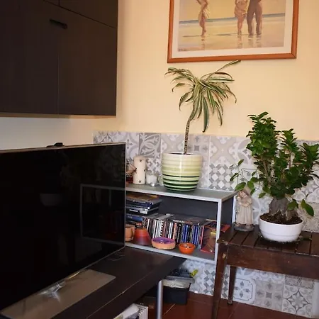 Terrace Flat In *